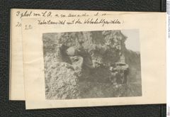 Seite 24, Tagebuch "Perschlingtal etc." (NHMW-PRAE-BBB-30)